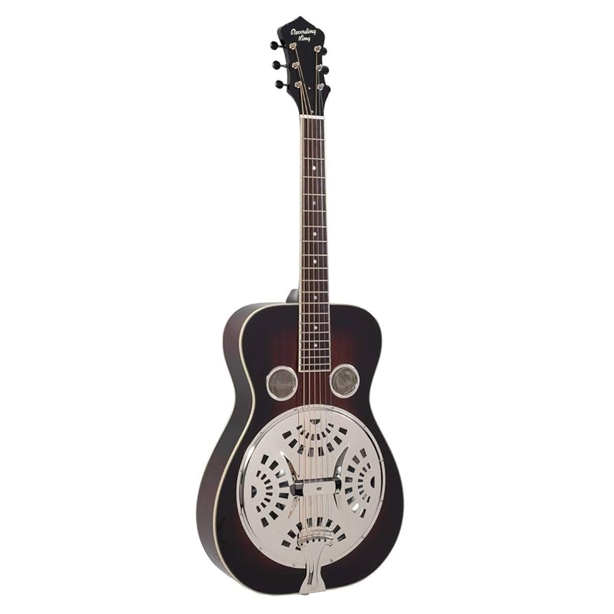 Amazon.com: Recording King RR-36-VS Maxwell Series Round